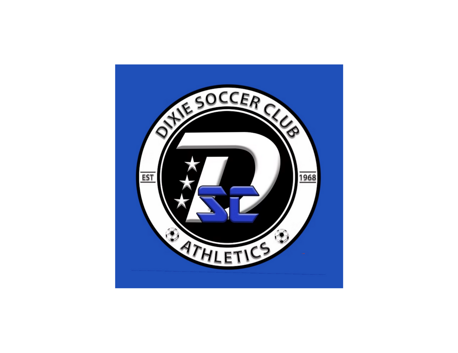 Dixie U9 Soccer Team