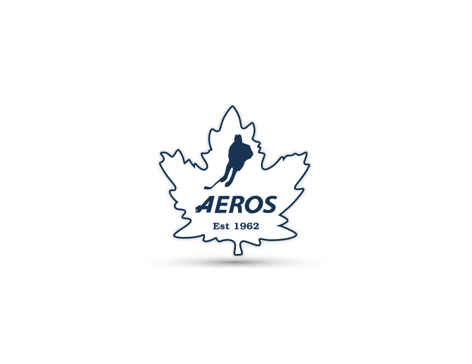 U15 Toronto Aeros