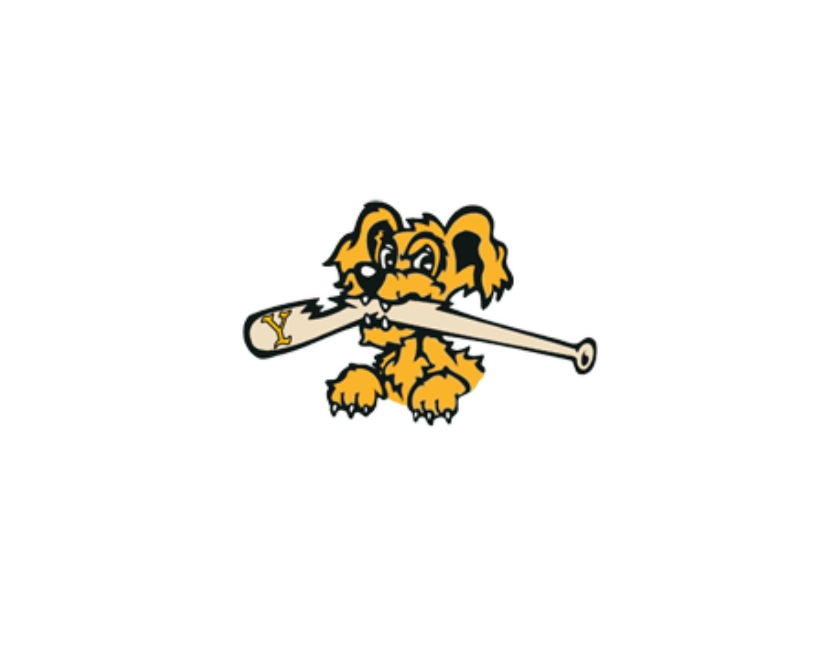 13U A York Riverdogs