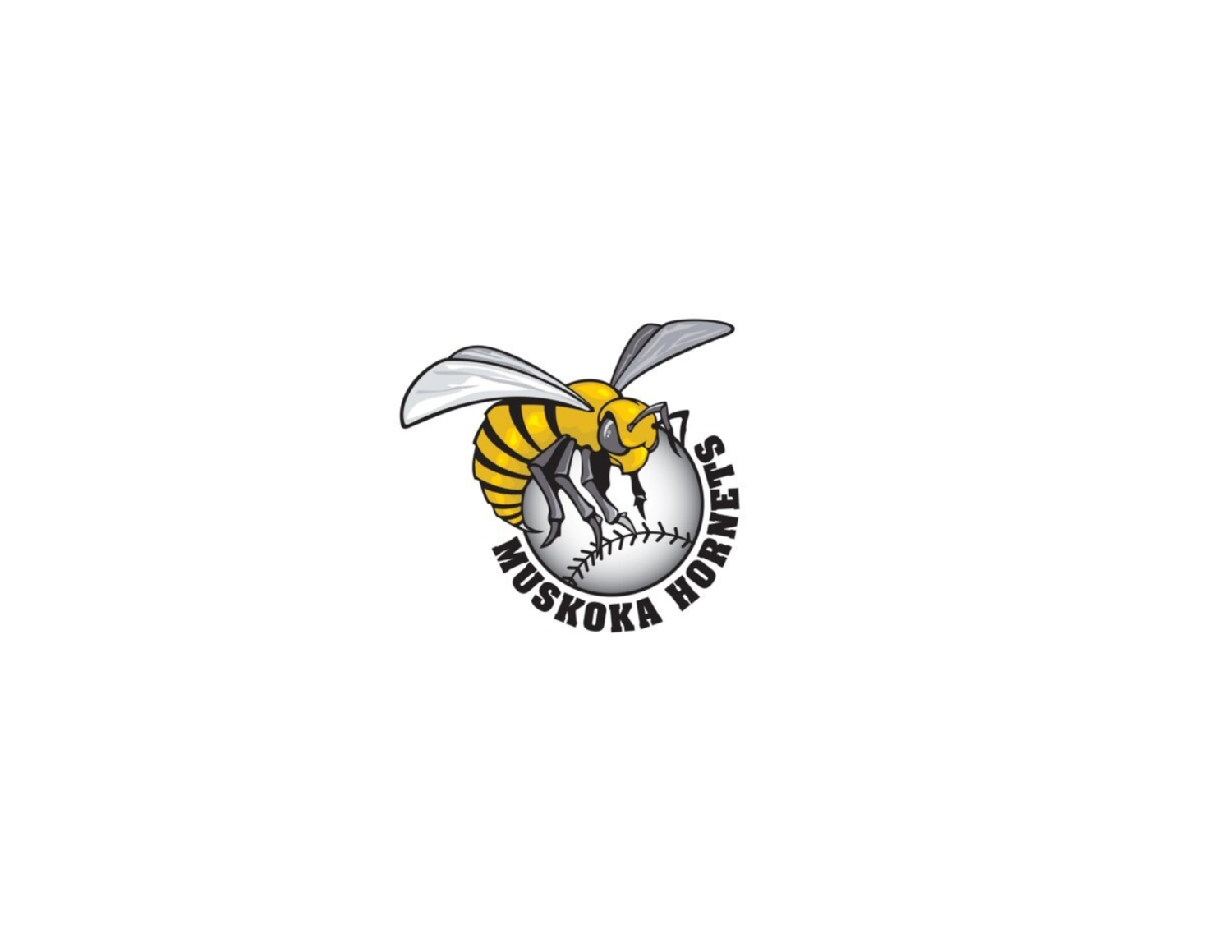 Muskoka Hornets 12U Team