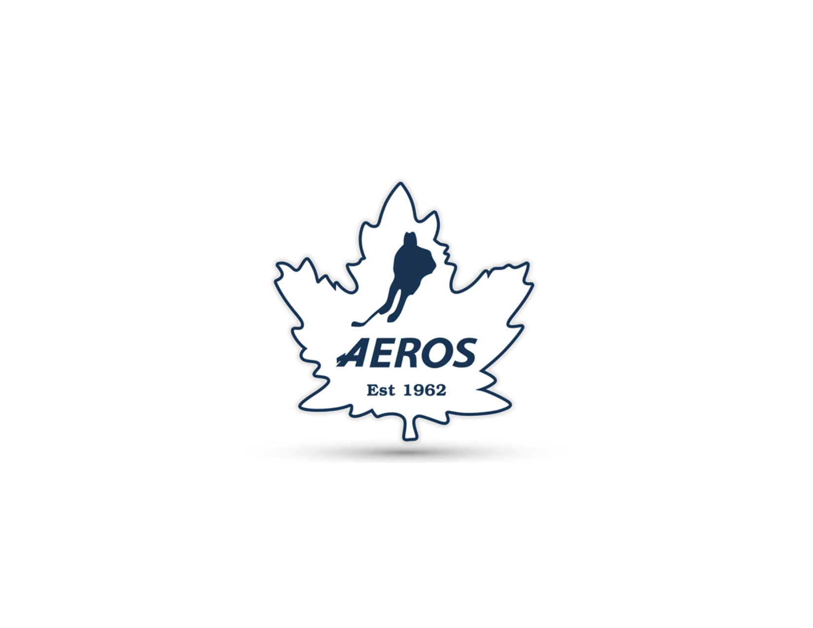 U15 Toronto Aeros