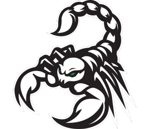 Scorpion Heat 17U Boys