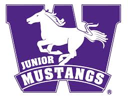 London Junior Mustangs U10 Grey Team