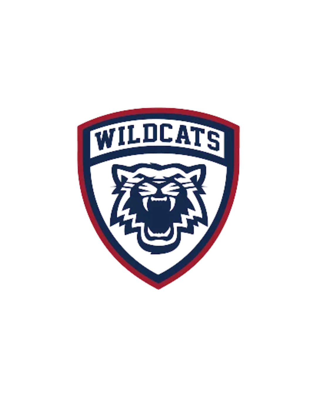 Woolwich Wildcats U13 2