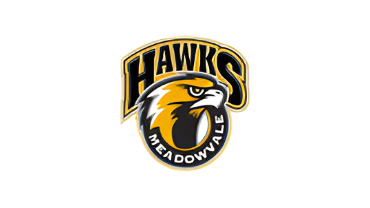 Meadowvale Hawks U9 Hockey Team
