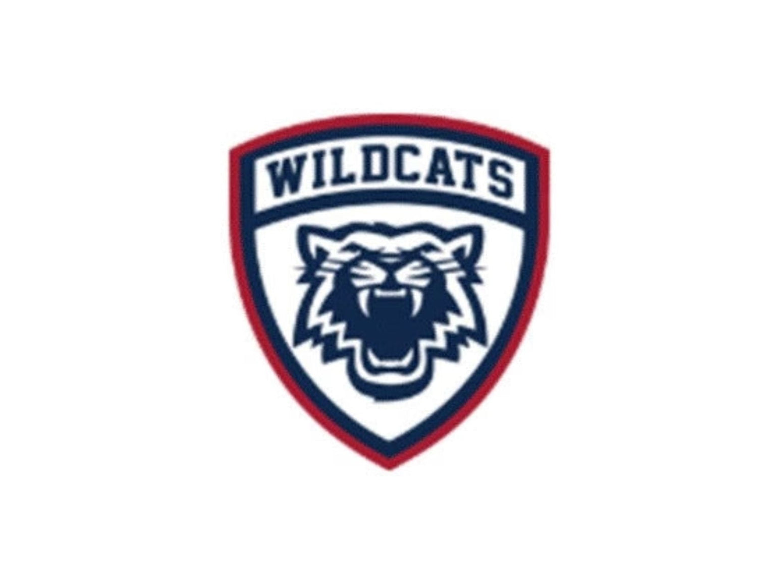 Woolwich Wildcats U18BB