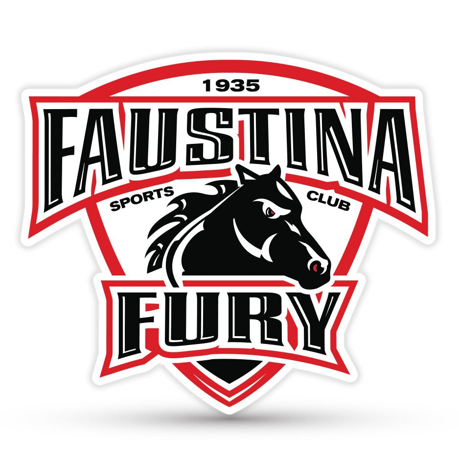 Faustina Fury U13 Hockey Team