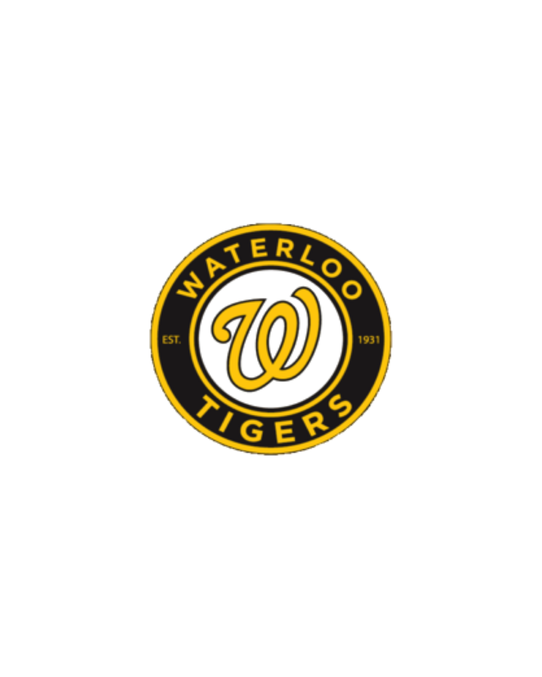 18U T1 Tigers Baseball