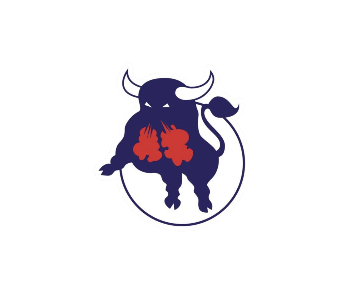 Faustina Toros U12A Boys Hockey Team