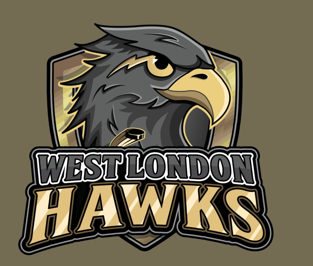 West London Hawks U10 BB